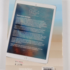 Daniel Riegels : iPad-käsikirja - pikkukuva 2