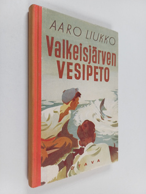 Aaro Liukko : Valkeisjärven vesipeto : poikien kalastusse...