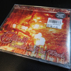 ELLIOTT CANDLE IN THE WIND CDS - pikkukuva 1