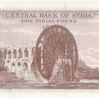 Syyria  1 punta 1982 pakkasileä - pikkukuva 2