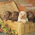 SHAR PEI POSTIKORTTI - pikkukuva 1