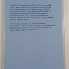 Isaac Bashevis Singer : Hölmön paratiisi ja muita satuja - pikkukuva 2