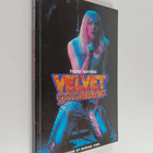 Todd Haynes : Velvet Goldmine - pikkukuva 1
