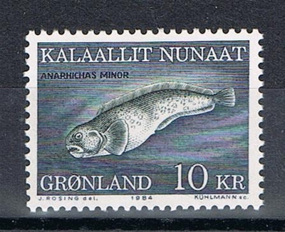 Grönlanti 1984 - Merikissa ++