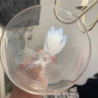 Iittala Nana lasi - pikkukuva 5