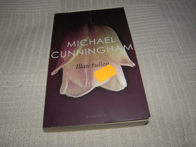 Michael Cunningham Illan tullen  -pok