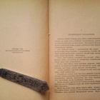 Beach Rex: Seikkailijoita, v. 1923 - pikkukuva 4