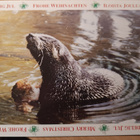 Joulukorttl wwf - pikkukuva 2