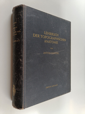 Anton Hafferl : Lehrbuch der topographischen anatomie