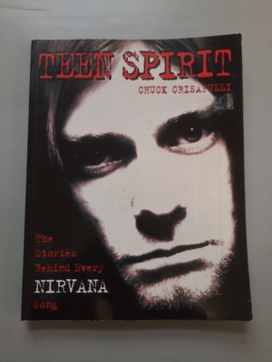 Teen Spirit, the stories behind every Nirvana song