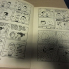 Charles M. Schulz / Ressu eduskuntaan - pikkukuva 4
