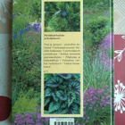 Ukonhattu Ja Ahkeraliisa Kirja - pikkukuva 2