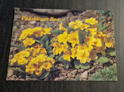 PÄÄSIÄISEN ILOA, pääsiäiskortti, kulkematon