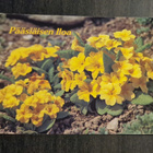 PÄÄSIÄISEN ILOA, pääsiäiskortti, kulkematon - pikkukuva 1