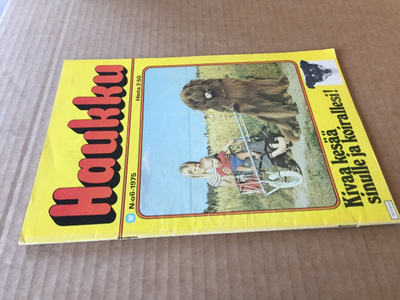 HAUKKU LEHTI 6/1975 HYVÄ