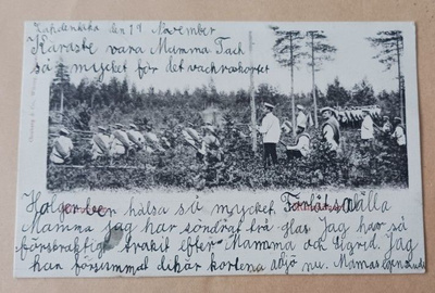 Uudenmaan ja Turun tarkkampujapatalj. manööveri, p. 1902