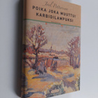 Joel Pettersson : Poika joka muuttui karbidilampuksi : ke... - pikkukuva 1