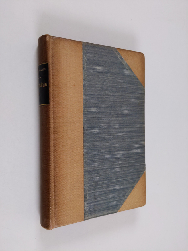 Minna Canth : Novelleja 1