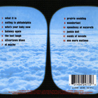 Mark Knopfler – Sailing To Philadelphia - CD - 2000 - pikkukuva 2