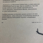 EERO MURTOMÄKI: HAUKKANEVA - pikkukuva 2