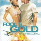 Fool's Gold - Kultaakin Kalliimpaa - DVD - pikkukuva 1