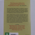 Sophie Kinsella : Himoshoppaajan vauva - pikkukuva 2