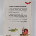 Michael Chinery : Pohjois-Euroopan hyönteiset - pikkukuva 2