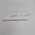 Ville Lindgren : Harmaan auringon säikeet (signeerattu) - pikkukuva 3