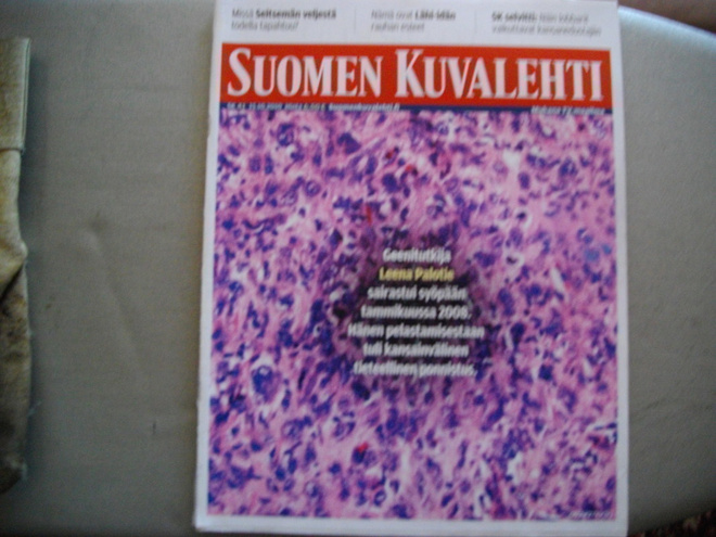 Suomen Kuvalehti Nro 41/2010 (14.3)