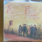 Vaeltavitsaus II. LP+CD - pikkukuva 2