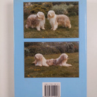 K. Suzanne Moorhouse : Talking about Beardies - pikkukuva 2