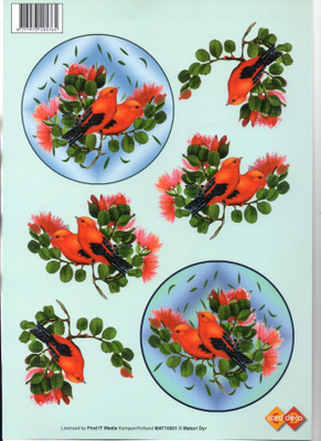 3D KUVA °"UPEAT ORANSSIT LINNUT OKSILLA"°