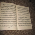 Harmonikkakoulu kromaattisia italialaisia harmonikkoja varte - pikkukuva 2