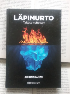 Ari Heiskanen - Läpimurto: taltuta tuhoajat (sid.)