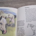 HARRASTESARJA PONIT, ARTKO 1978 - pikkukuva 4