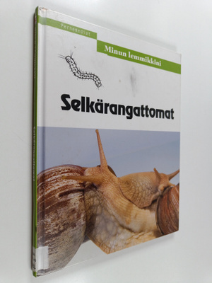 Selkärangattomat