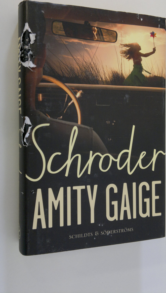 Amity Gaige : Schroder