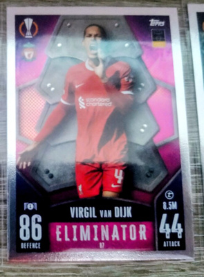 Virgil van Dijk Eliminator