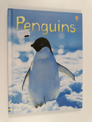 Emily Bone : Penguins