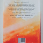 Benedict Wells : Hard Land - pikkukuva 2