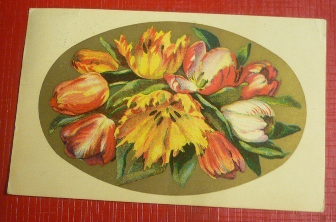 Tulppaanit aukeavat  1937    (K9)
