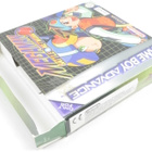 Mega Man Battle Network - pikkukuva 2