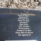 THE DIGGERS - MOUNT EVEREST - pikkukuva 2