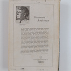 Sherwood Anderson : Mustaa naurua - pikkukuva 2