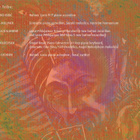 Accordion Tribe - Lunghorn Twist (CD) - pikkukuva 3