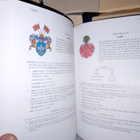 Suomen ritariston ja aatelin kalenteri 2001 ( SIS POSTIKULU) - pikkukuva 2