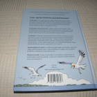 Suursalmi - Rahkonen Vaahtopäät purjehdusleirillä - pikkukuva 5