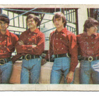 Purkkakuva Monkees n:o 33 Purukumikuva - pikkukuva 2