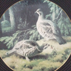 Von Wright seinälautaset - pikkukuva 5
