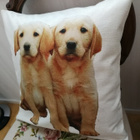 Labradorinnoutajan pennut tyynynpäällinen - pikkukuva 2